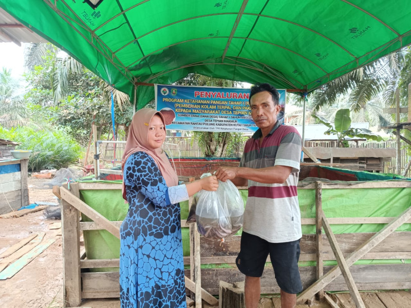 Pemdes Tepian Makmur Realisasikan Program Ketahanan Pangan 2025 Melalui Budidaya Ikan Lele Berbasis Keluarga