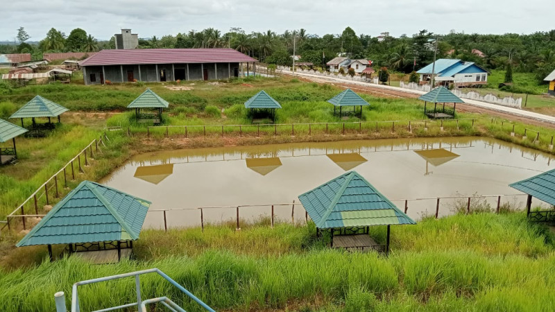 SEJARAH & SELAYANG PANADANG DESA TEPIAN MAKMUR