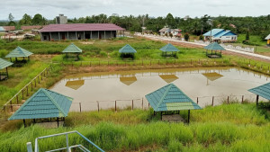 SEJARAH & SELAYANG PANADANG DESA TEPIAN MAKMUR